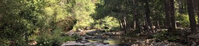 Pipi Campground