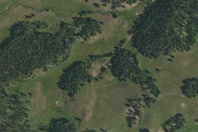 Camp site