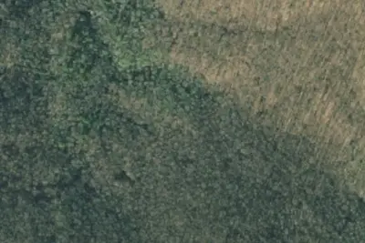 Camp site