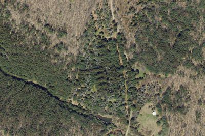 Dyer CCC Camping Area