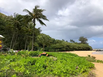 2021-10-08 11 43 47 View west from Hāʻena Beach in Hāʻena, Kauai, Hawaii
