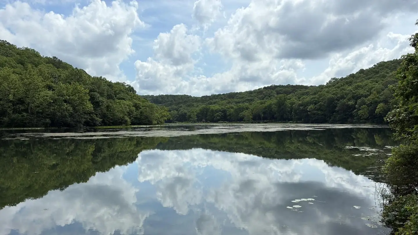 Noblett Lake View