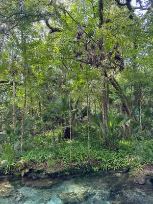 The Lush Waterways of Florida