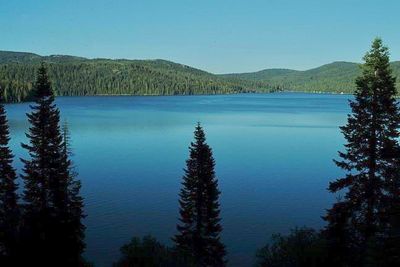 Gold Lake Campground