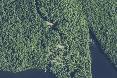 Camp site (Princeton)