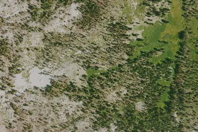 Camp site