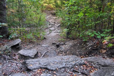 Trail Eisenhower State Park Texas 2024