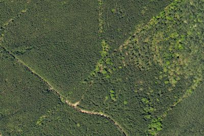 Boggy Campground