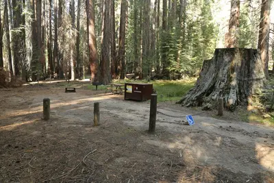 Accessible Campsite