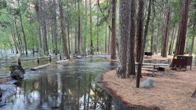 North Pines Campground