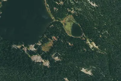 U.S. Forest Service Site 12