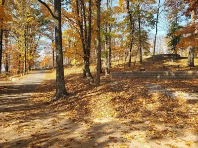Susquehannock roadway near site 54