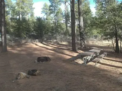 Upper Wolf Creek Group camp