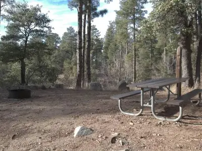UPPER WOLF CREEK GROUP CAMP Sites
