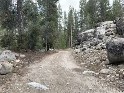A photo of the road to sites 70-76 at Yosemite Creek Campground