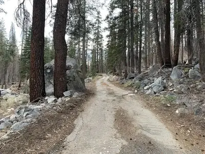 A picture of part of the road to Yosemite Creek Campground