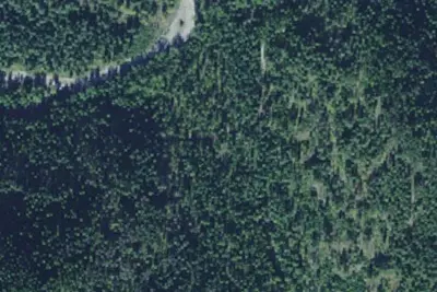 Rd 214 Site 2