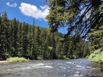 Conejos River at Aspen Glade Campground