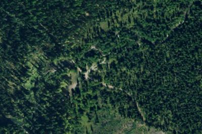 Logging Creek