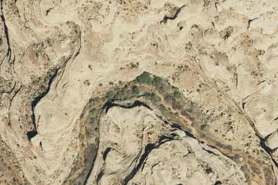Camp site