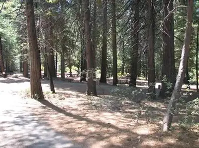 Stumpy Meadows