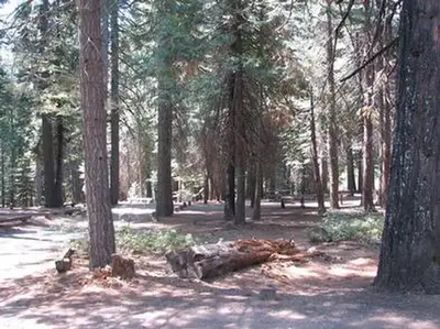 Stumpy Meadows