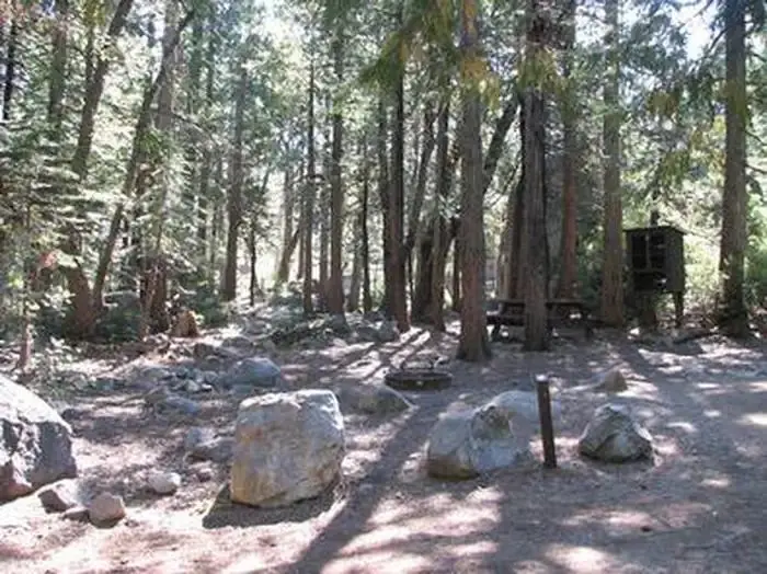 Stumpy Meadows