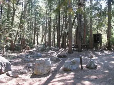 Stumpy Meadows