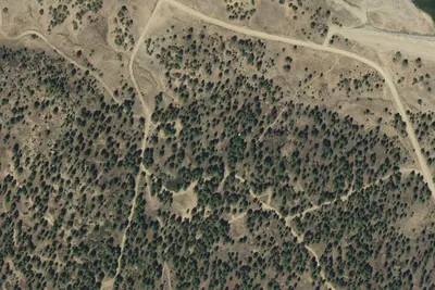 Camp site