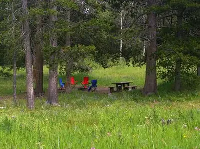 Campsite surrounded by pine trees,  picnic table, fire ring & camp chairs