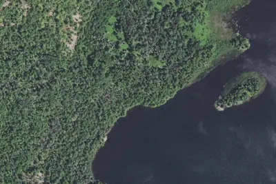 Bass Lake Site 2