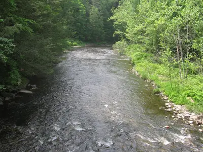 View from Hauser footbridge 034