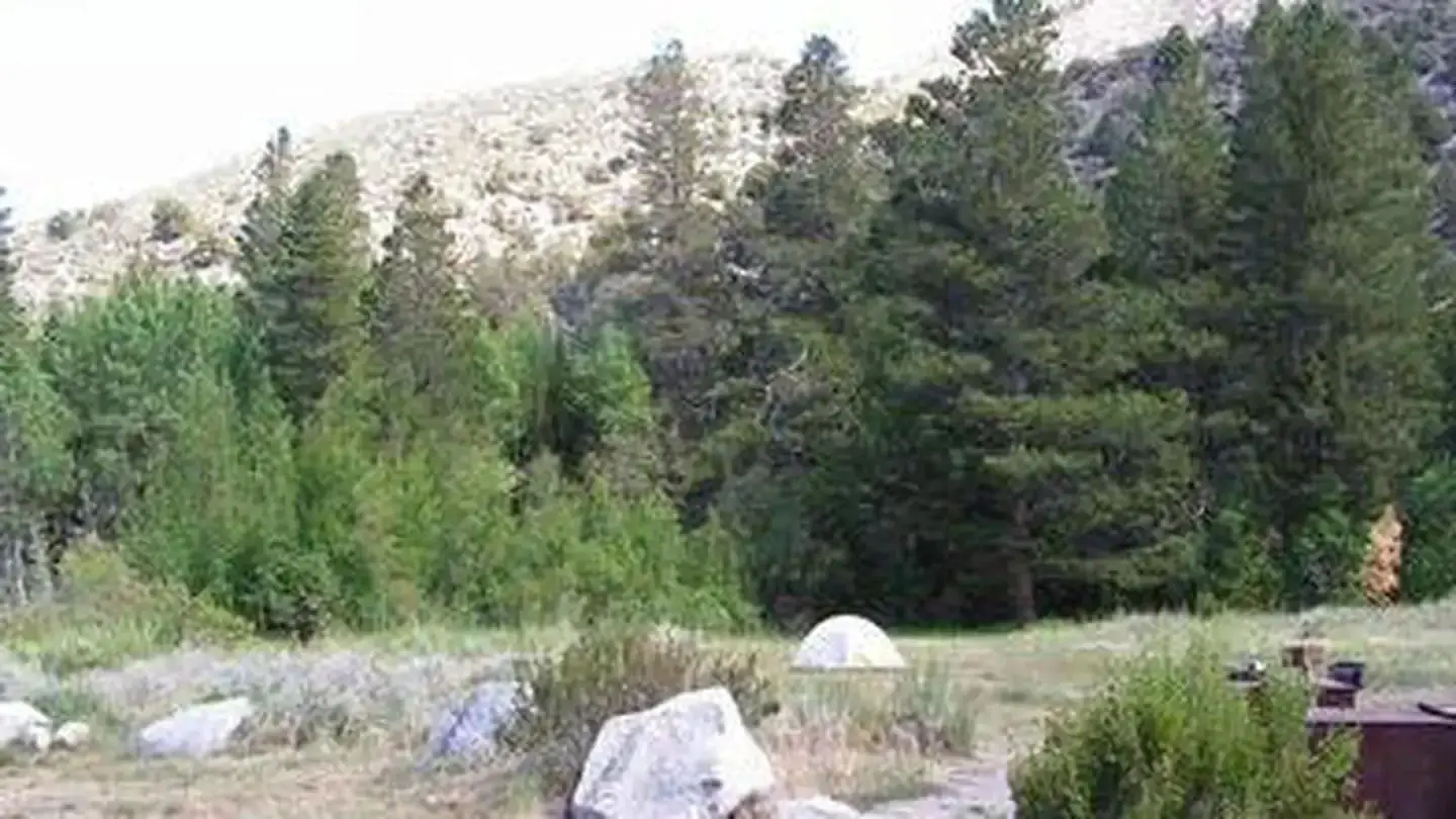 Rocky boulders and shrub grasses in a campground