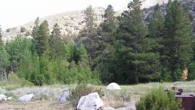 Aspen Group Campground