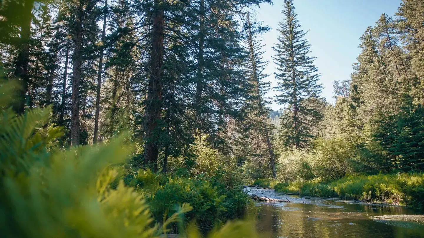 Box Elder Creek