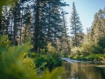 Boxelder Creek