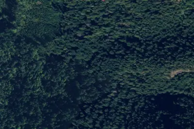 Cocoa Crossroads