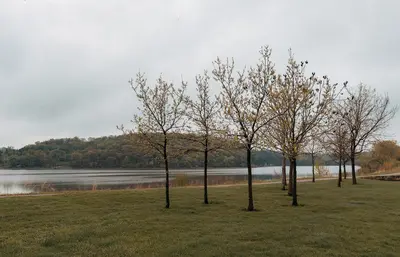 Lake Byllesby Trees, Minnesota - Dakota County Parks (41669092744)