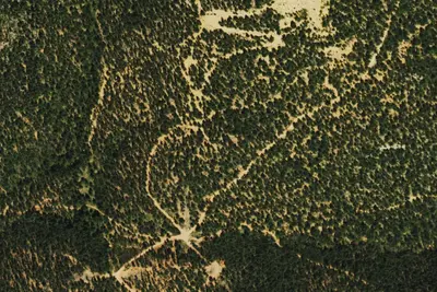 Camp site