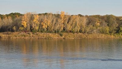 Cottonwood Campground (ia)