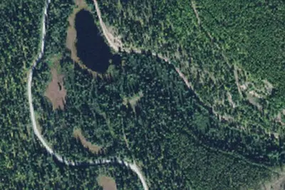 Trout Lake South