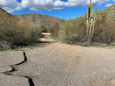 Loop at Christmas Recreation Site (54965132382)