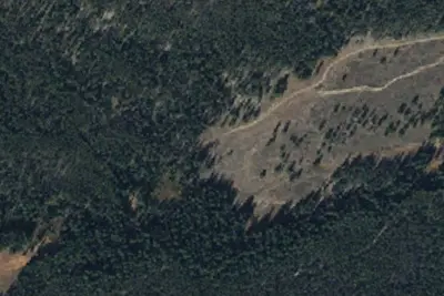 U.S. Forest Service Site 8