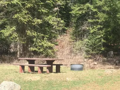 Sunny campsite with picnic table and fire ring.