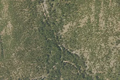 Morse Canyon Campground