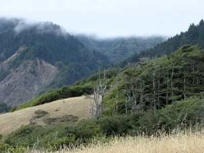 Sinkyone State Wilderness, Lost Coast Trail, CA, USA - panoramio (1)
