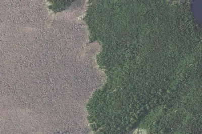 Camp site
