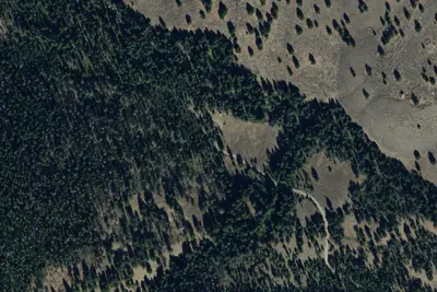 Bear Valley Horse Camp