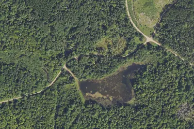 Robbins Pond Campground