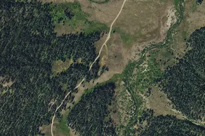 Camp site
